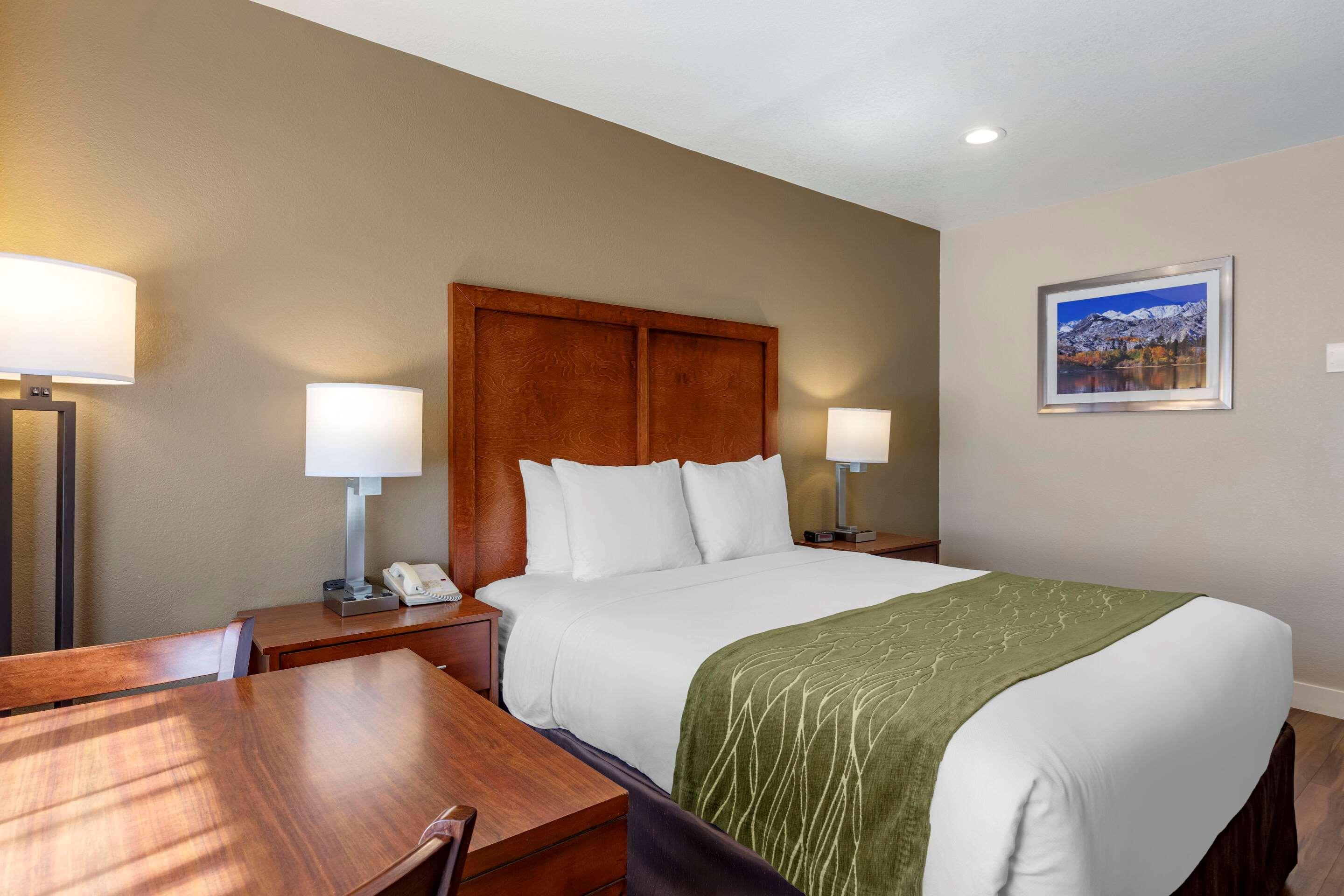 Comfort Inn Бишъп Екстериор снимка
