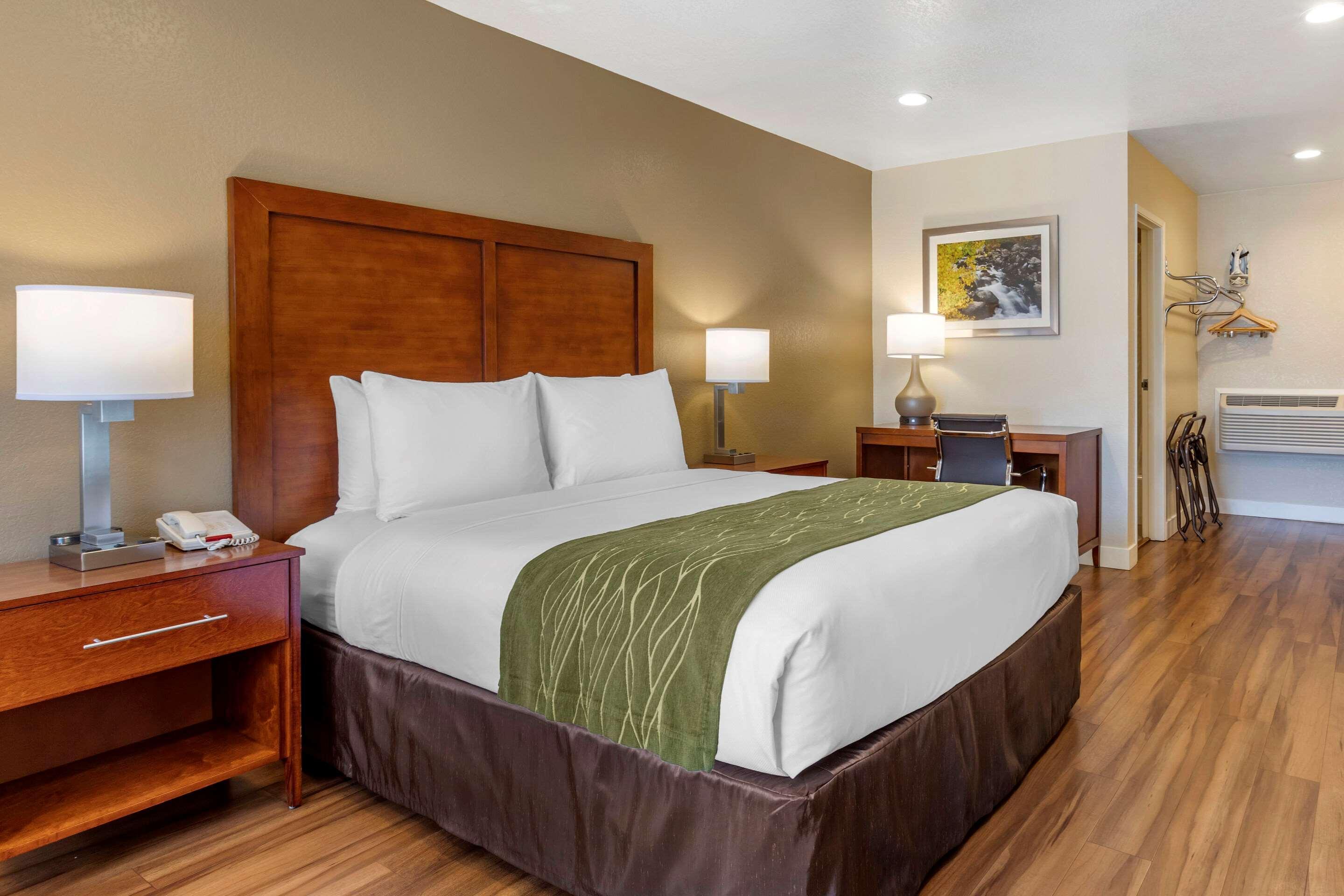 Comfort Inn Бишъп Екстериор снимка
