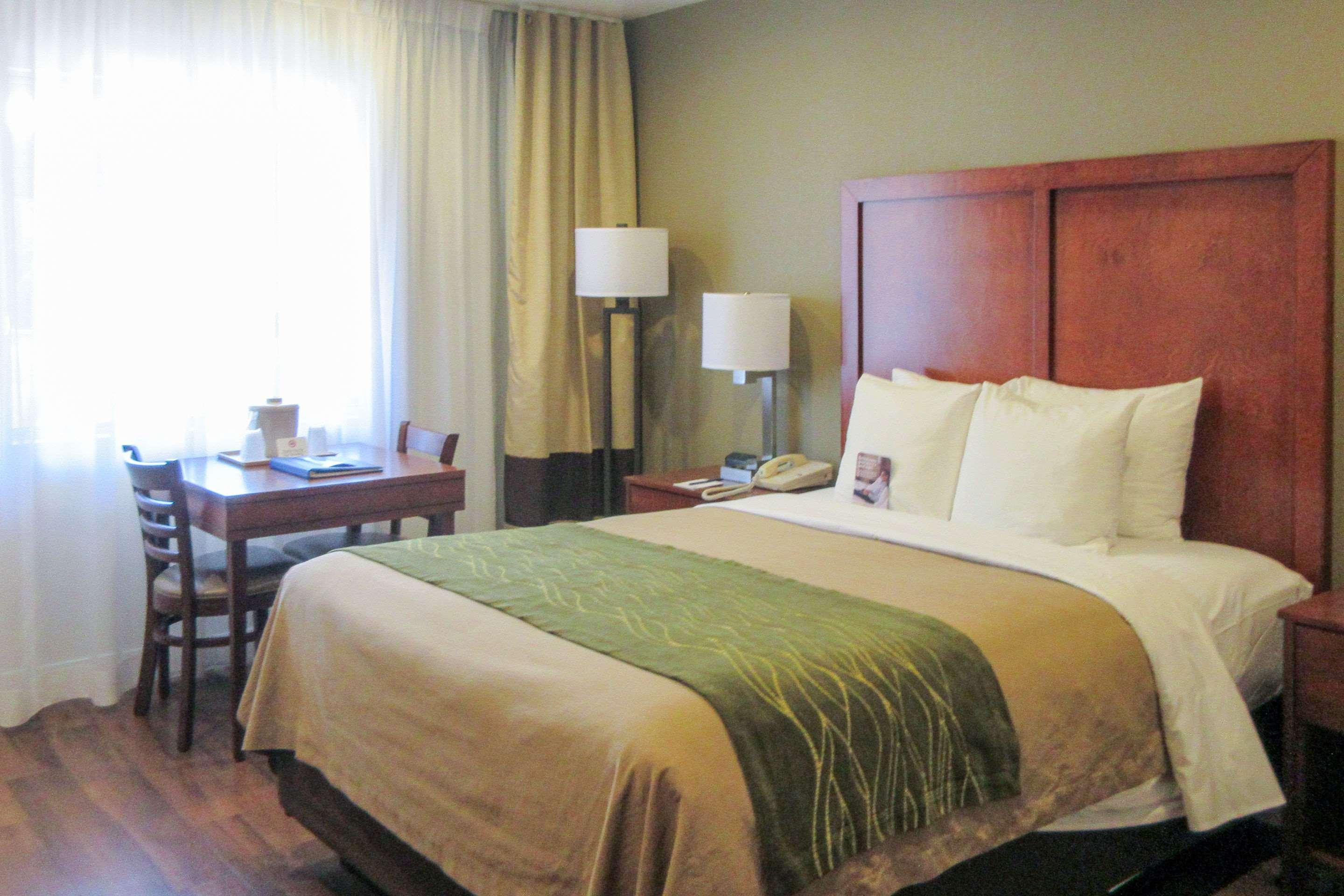 Comfort Inn Бишъп Екстериор снимка